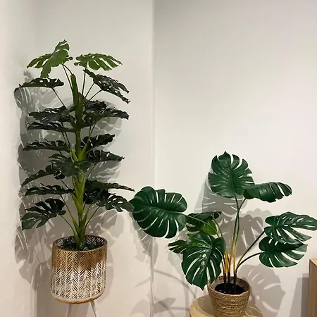 公寓 Gades De La Caleta Con Terraza Grupo Ac Gestion 加的斯