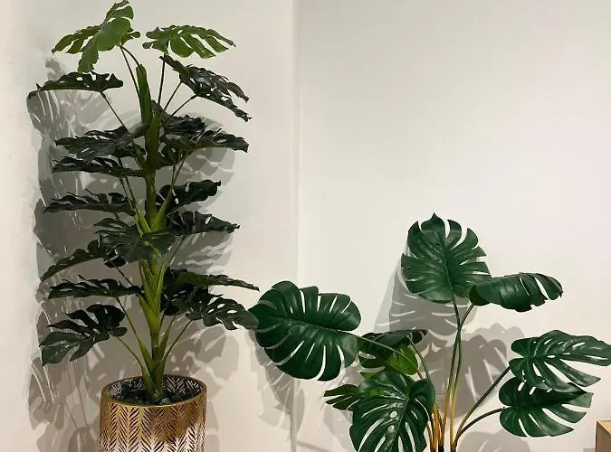 Apartment Gades De La Caleta Con Terraza Grupo Ac Gestion Cadiz